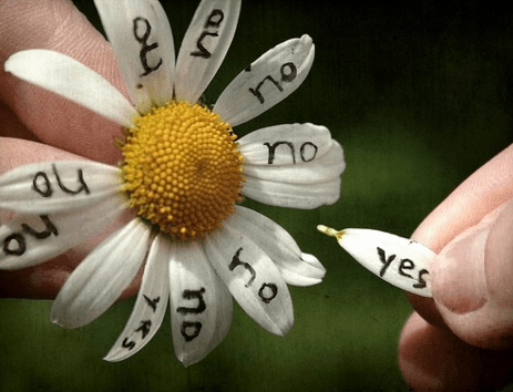 Screen Shot 2016-03-23 at 11.18.53 AM